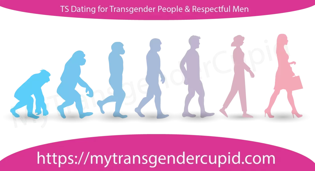 transgender-evolution