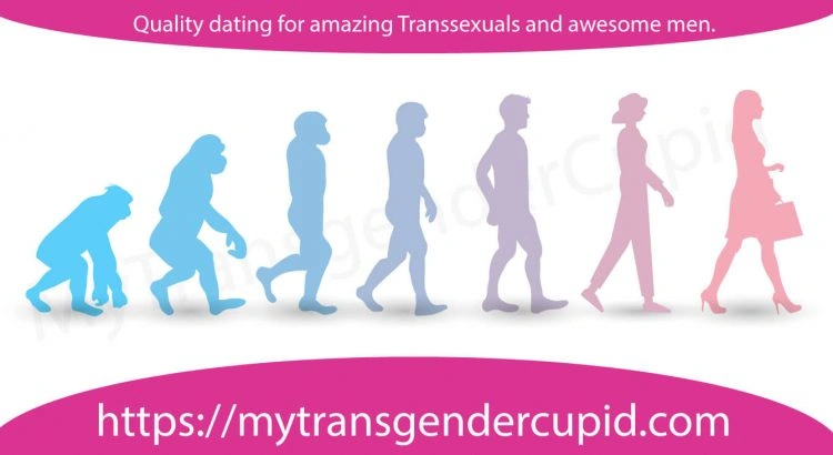 Transwomen evolution