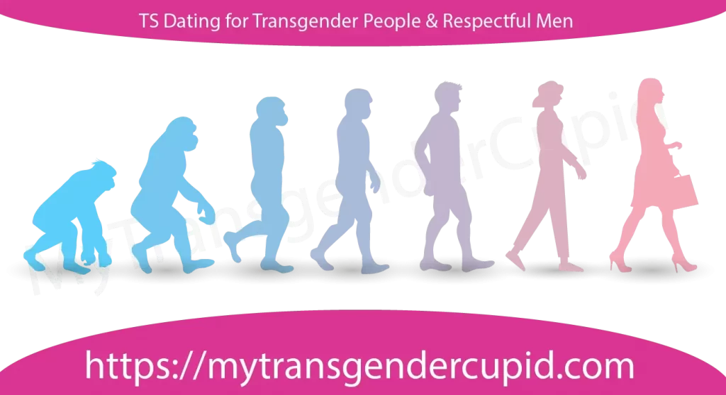 Avantages et inconvénients de la chirurgie d'affirmation du genre : Transgender-evolution