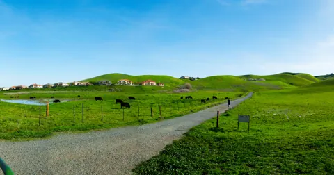Landschaft im Contra Loma Regional Park in Antioch